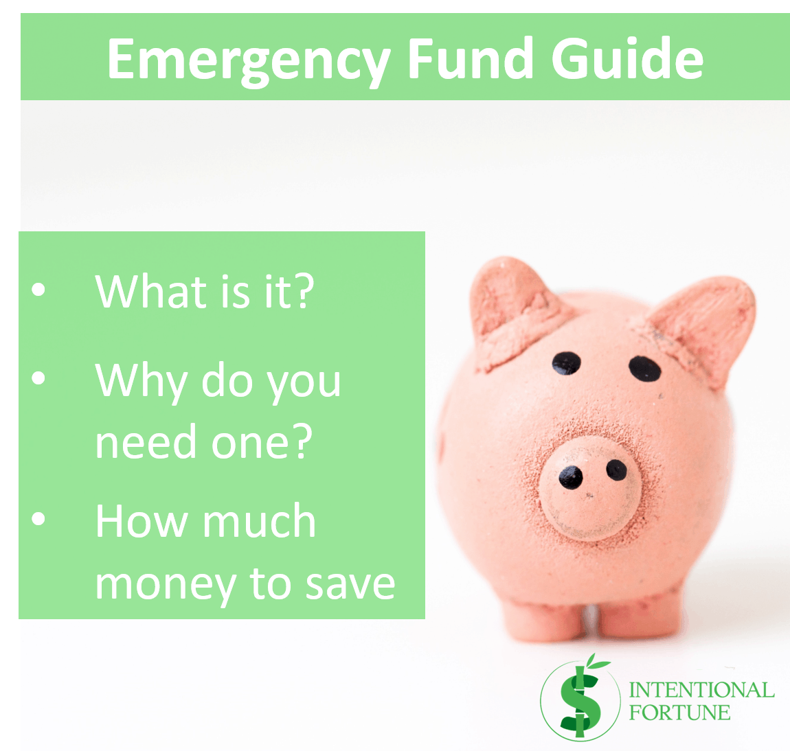 Emergency Fund Guide: What, Why & How Much Money To Save - Intentional ...